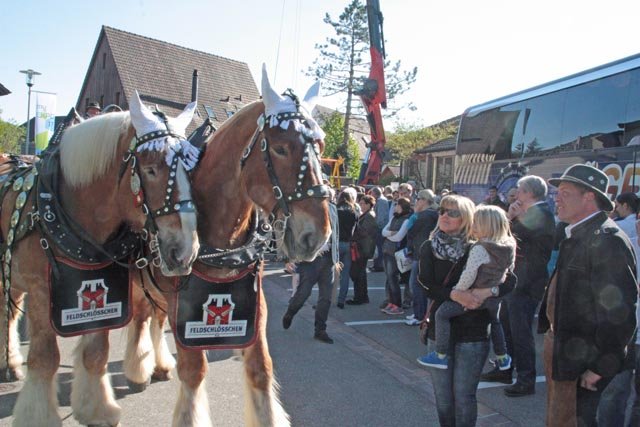 «MyExpo 2017» in Magden