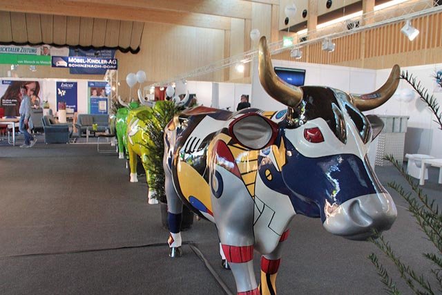 «MyExpo 2017» in Magden